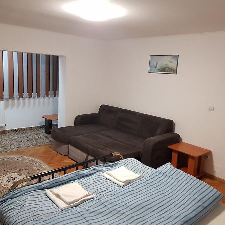 Apartament La Zoli - Apartament 1 Cam, Zona Freidorf Cu Parcare Publica Timișoara Zewnętrze zdjęcie