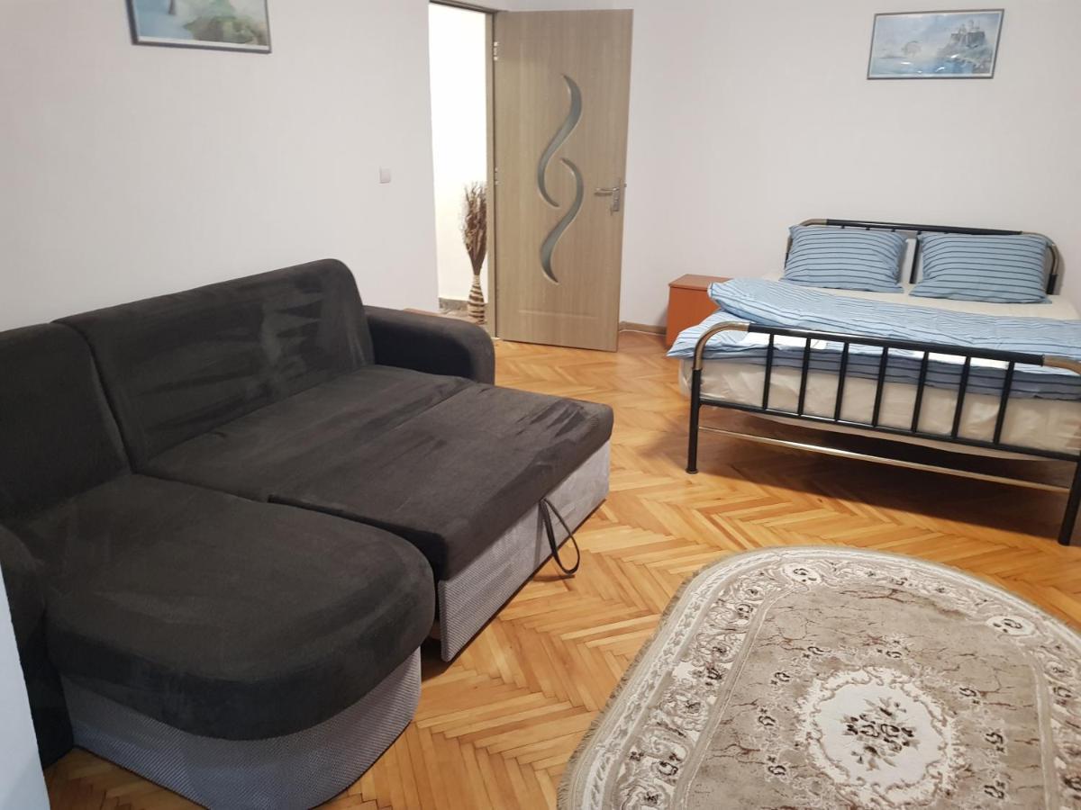 Apartament La Zoli - Apartament 1 Cam, Zona Freidorf Cu Parcare Publica Timișoara Zewnętrze zdjęcie