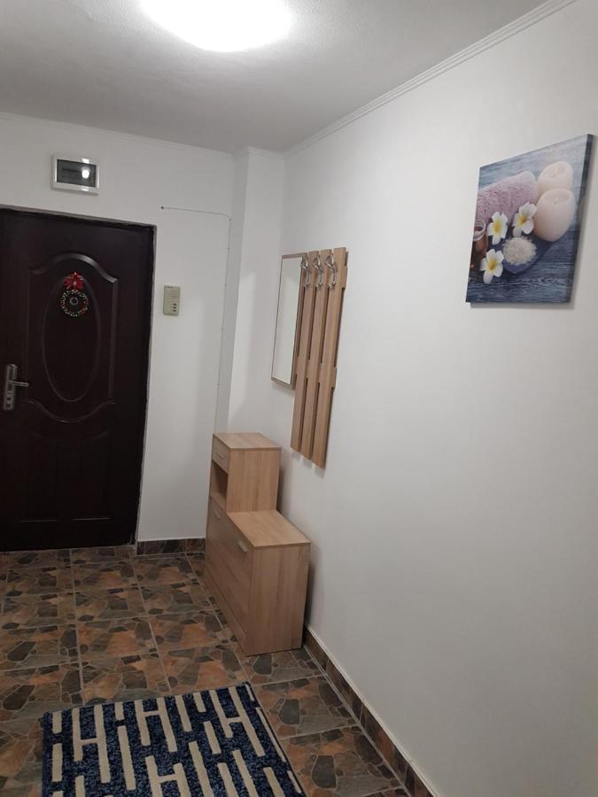 Apartament La Zoli - Apartament 1 Cam, Zona Freidorf Cu Parcare Publica Timișoara Zewnętrze zdjęcie